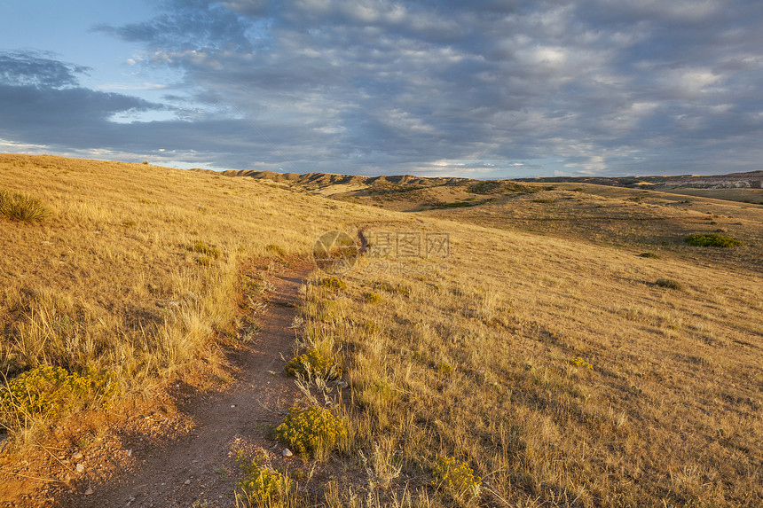日出照亮了在科罗拉多州洛基山脉脚下滚动的草原靠近柯林斯堡的肥皂石普拉伊雷自然区图片