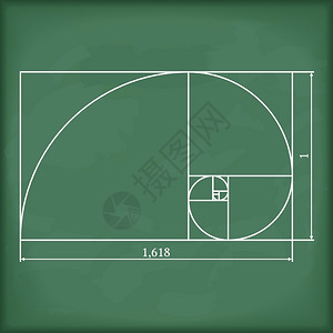 黄金螺旋分割图片