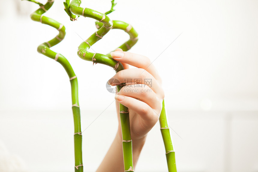 妇女用指甲手摸着装饰竹子图片