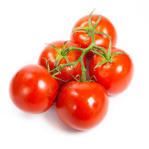 西红柿藤关闭白分离的葡萄藤上西红柿番茄枝背景