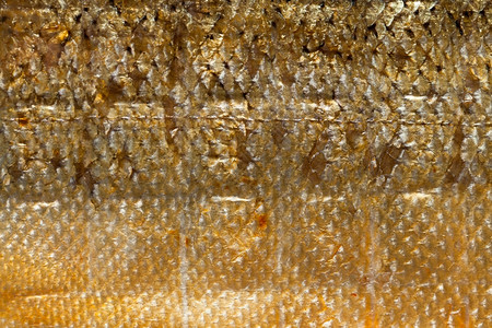 银色的鲑鱼大型皮作为食物动背景纹理背景图片