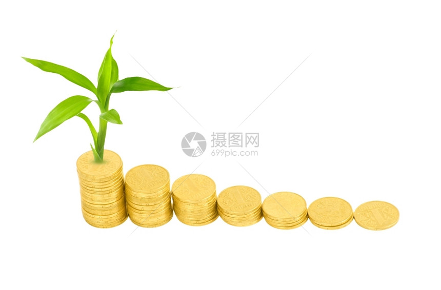 白上隔离的金币和植物图片