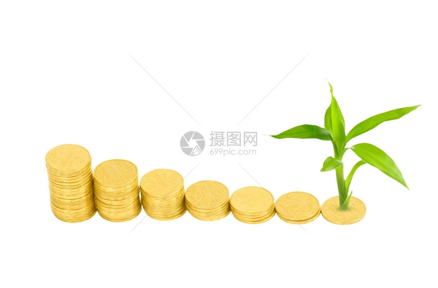 白上隔离的金币和植物图片