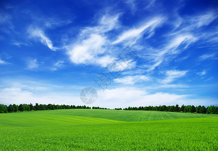 绿地和蓝天空背景图片