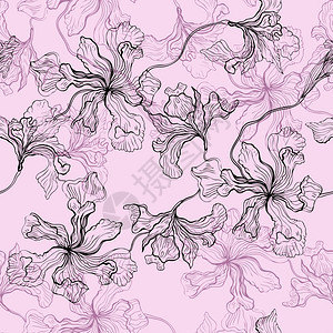 抽象植物花卉图案矢量背景图片