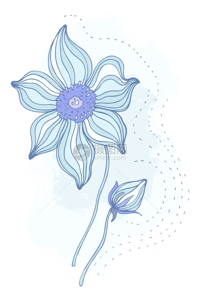 鲜花美丽的朵手工绘画的矢量插图孤立图片