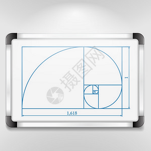 黄金比例图片