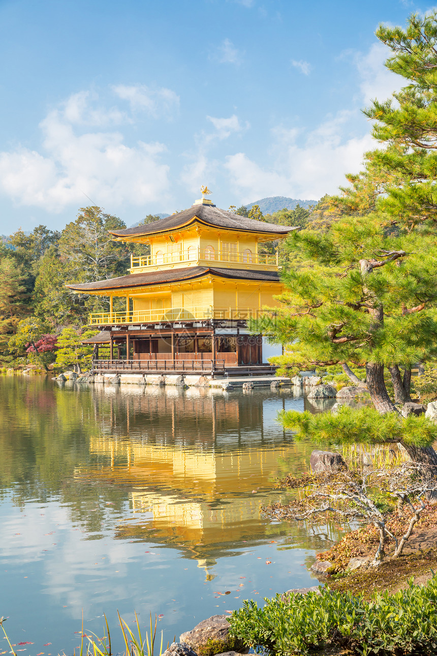 京都金殿寺图片