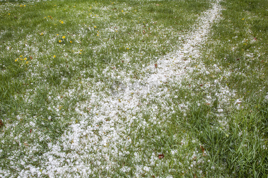 春季暴风雨过后的院草坪覆盖冰石图片