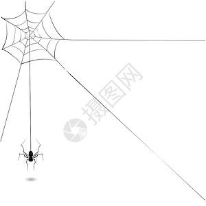 用于设计的黑蜘蛛插图图片