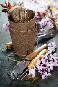 木板上的花园工具和春樱图片