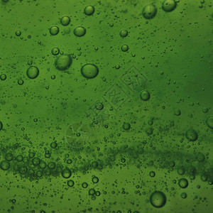 绿色抽象的含肥皂泡模糊液体背景背景图片