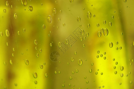 绿色黄抽象模糊液体背景带有肥皂泡沫图片