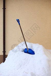 蓝雪铲在深中站立冬季风景图片