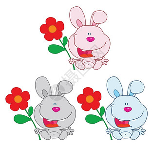 兔子养花收藏背景图片