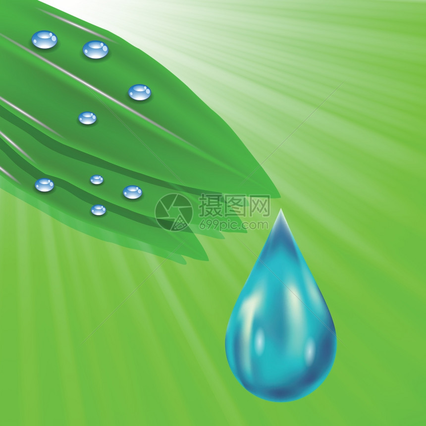 用绿色叶子和水滴在绿色波背景上的叶子和水滴做多彩插图用于设计图片