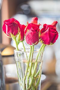 红玫瑰花束瓶股票照片花的高清图片素材