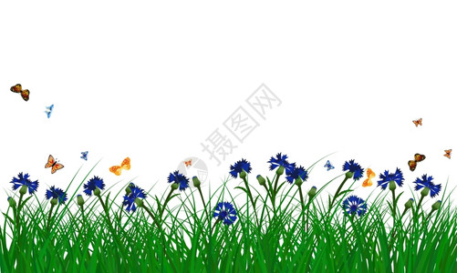 绿色的草地上盛开的鲜花和飞舞的蝴蝶矢量插画图片