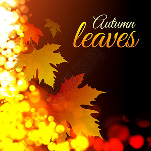 多彩秋天树叶秋叶含有bokeh效应的矢量图示插画
