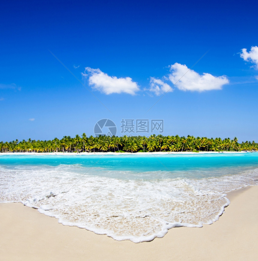 美丽的海滩和热带平面xA图片