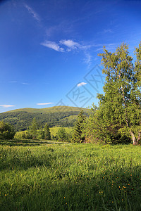 自然与环境绿色森林和山丘夏季区景观旅游和业图片