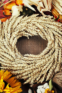 秋季框架感恩节收获或秋季概念图片