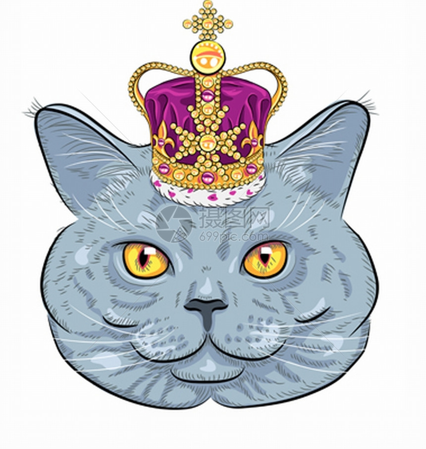 金冠上英国滑猫的时装画肖像图片