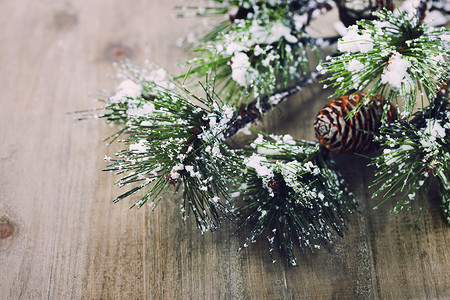 木背景上的圣诞松树枝高清图片