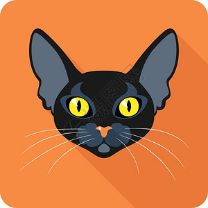 孟买猫BombayBlackCat图标平板设计插画