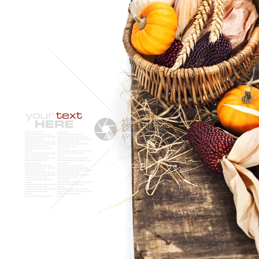 秋季成分旧木制桌上的南瓜和玉米感恩节概念易于移动的样本文图片