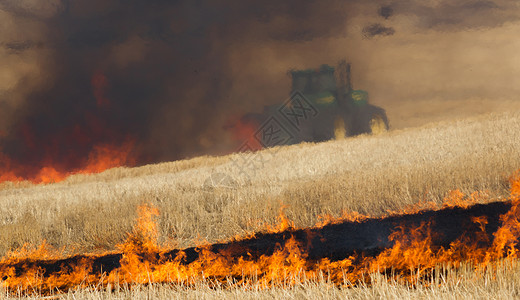 农民在收获后耕种前进行有控制的焚烧高清图片