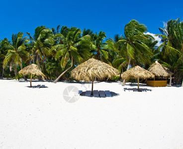 棕榈树下沙滩椅高清图片