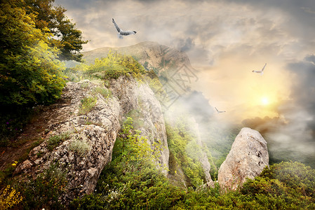 山上和大鸟的晨雾背景图片