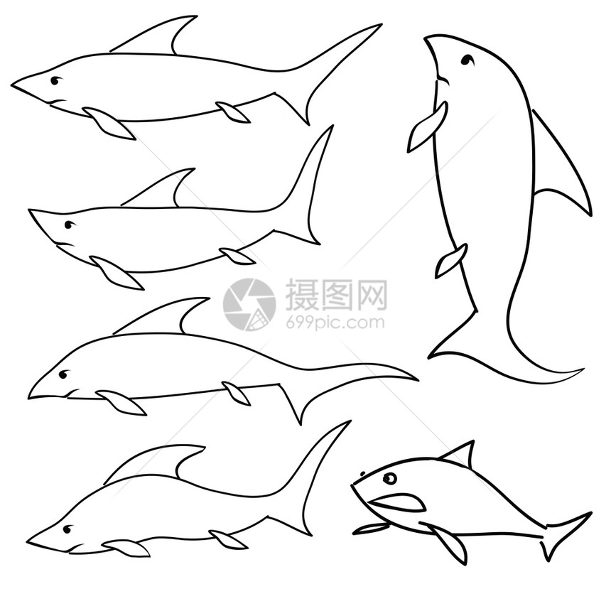 将鲨鱼设置在白背景的鲨鱼插图图片
