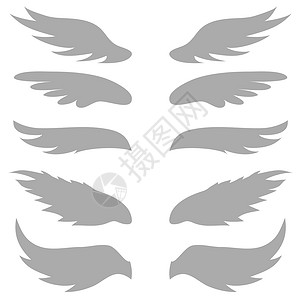 卡通鹰用白色背景上的翅膀光影画背景