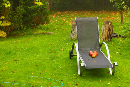 秋天花园椅子上的红苹果掉下来了图片