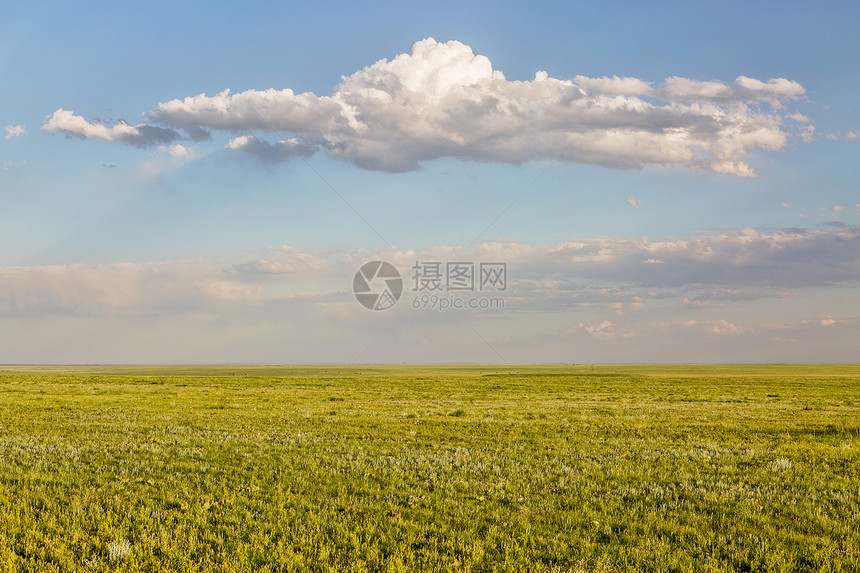 春时短草原科罗拉多东北部Weld县的Pawnee草原图片