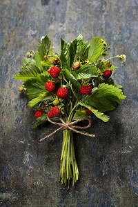 木本底的新鲜野生草莓夏季健康或素食饮概念图片