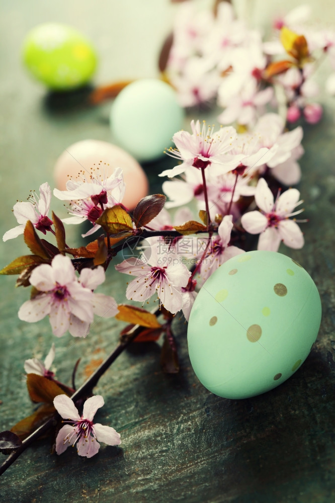 复活节配有彩蛋和樱花枝图片