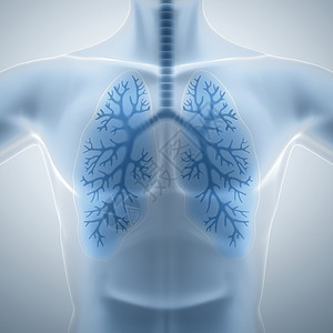 清洁和健康的肺图片