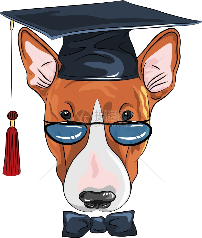 戴毕业帽的狗狗图片