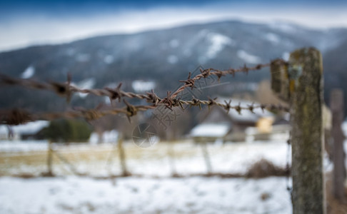 雪覆盖的田地上木栅栏的铁丝网贴合照片图片