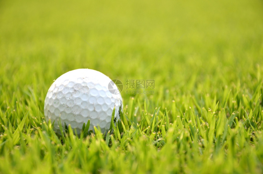 绿背景的草地上肮脏高尔夫球绿背景的肮脏高尔夫球在草地上的肮脏高尔夫球图片