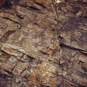 岩石背景自然墙纹理图片