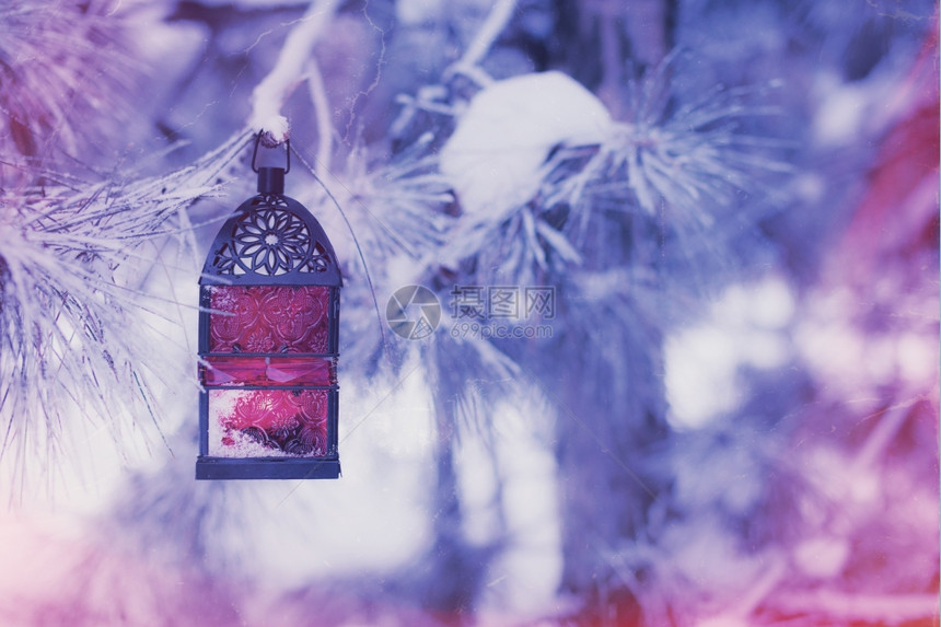 雪树上红色灯笼的反向照片图片