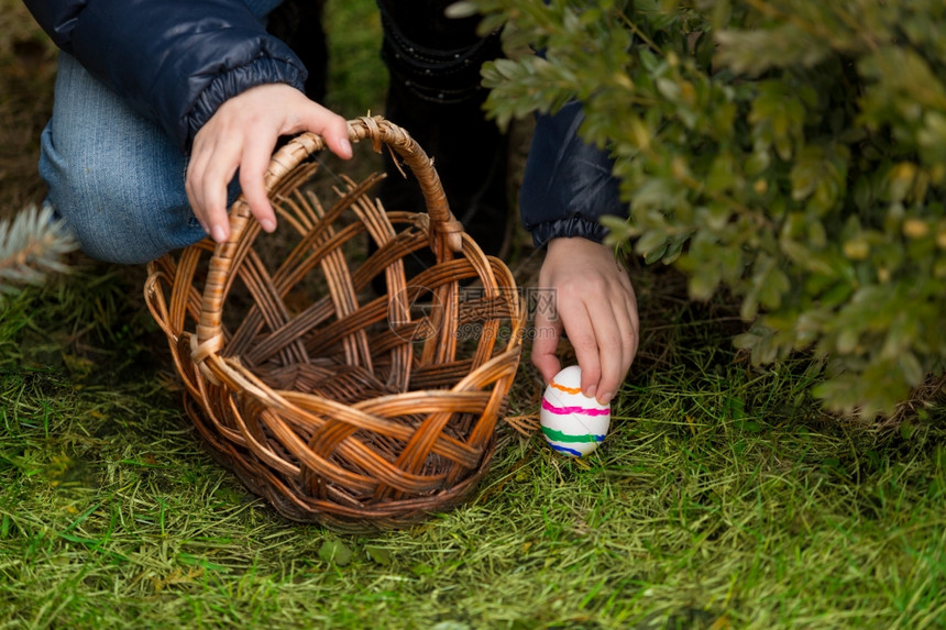 近视图把草地上带条纹的鸡蛋放进篮子里图片
