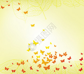 色彩多的蝴蝶背景图片