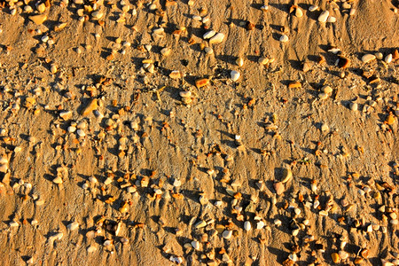 日落时沙滩底部棕色湿沙滩子和太阳光的石头图片
