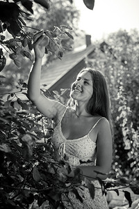 从树顶上摘苹果的微笑女人单色镜头背景图片