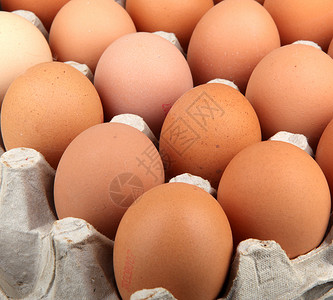 摆放整齐的鸡蛋背景图片